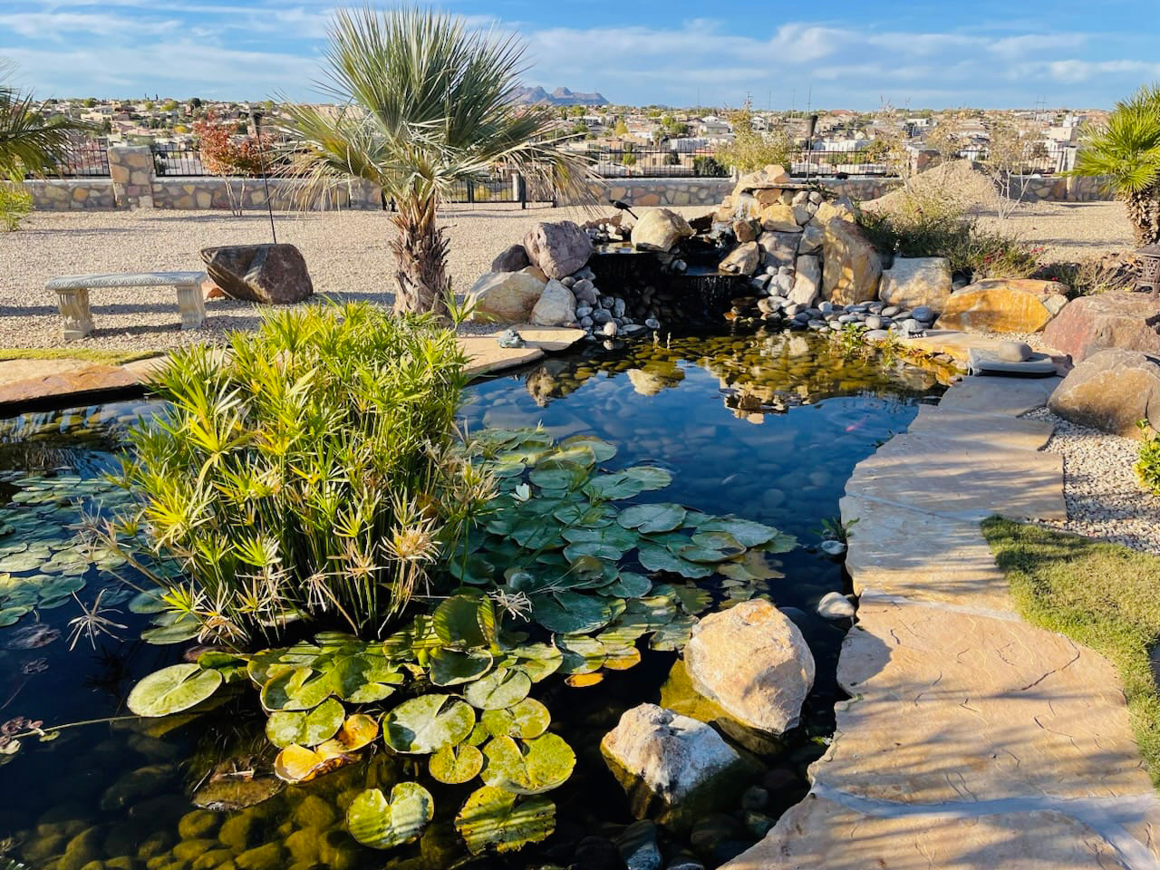 A pond water feature designed and installed by Pools by Garden Center. Image meant to display pond water features to customers.